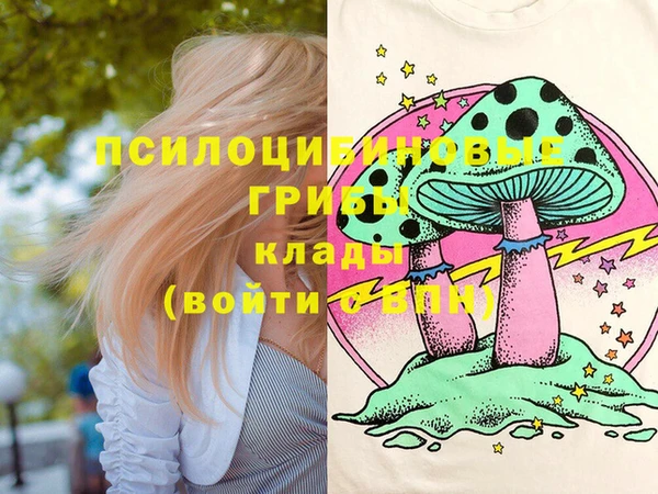 героин Алзамай