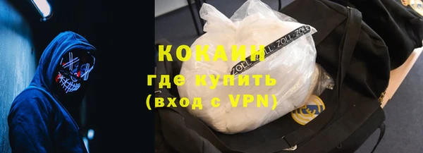 твердый Алексеевка