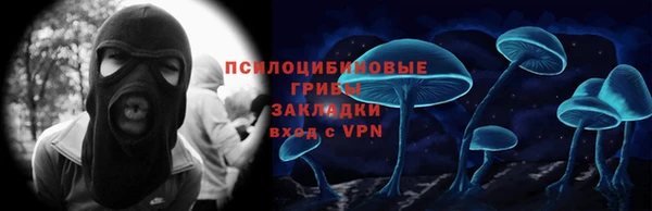 твердый Алексеевка