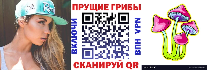 Галлюциногенные грибы мицелий  Перевоз 